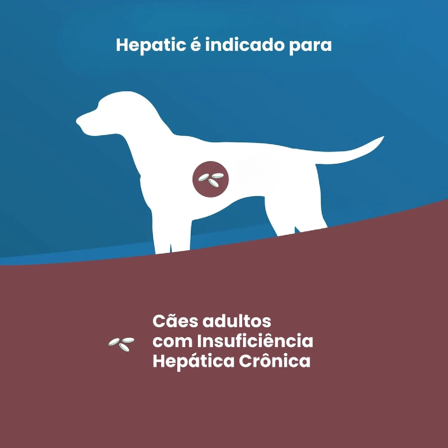 Racao Vet Life Natural Hepatic para Caes 2
